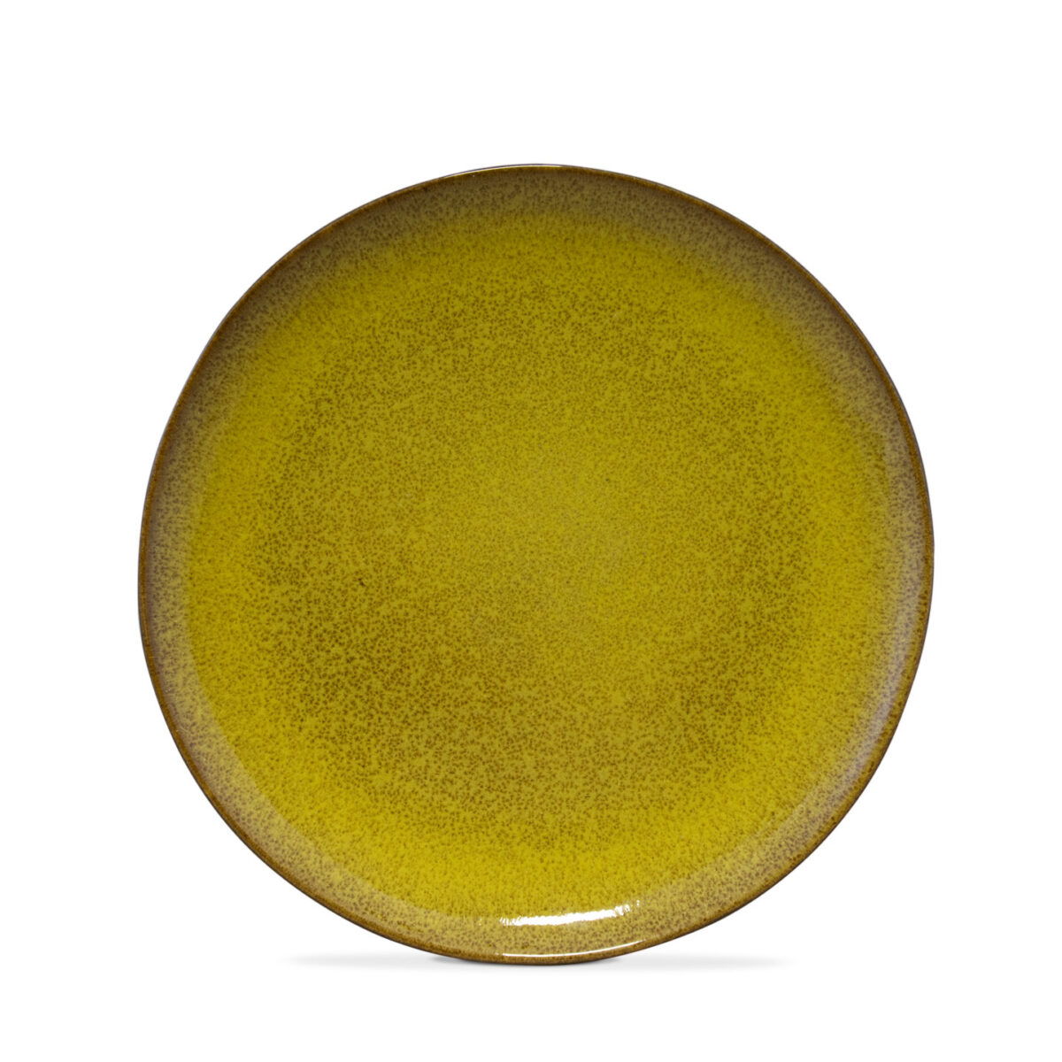 Dinner Plate - Image 6