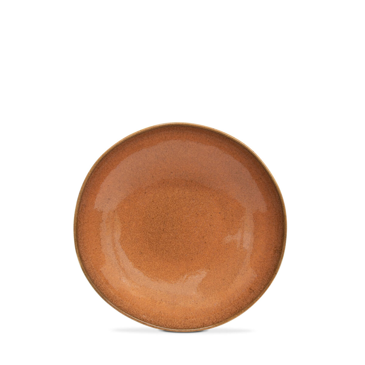 Pasta/Soupe Plate - Image 3