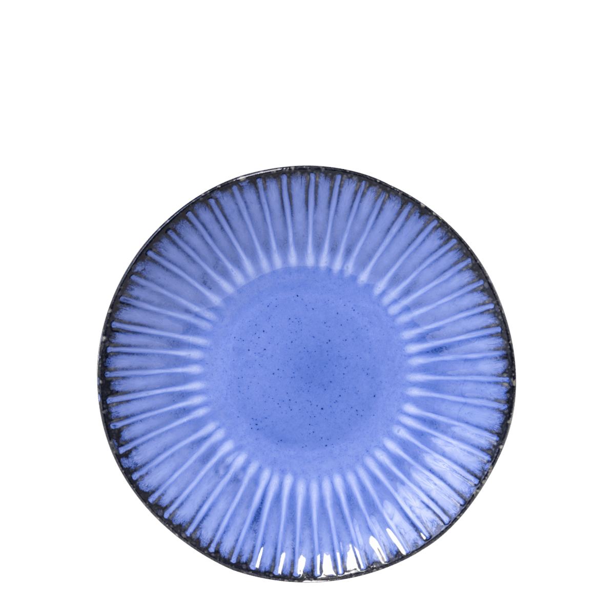 Pasta Plate - Image 7