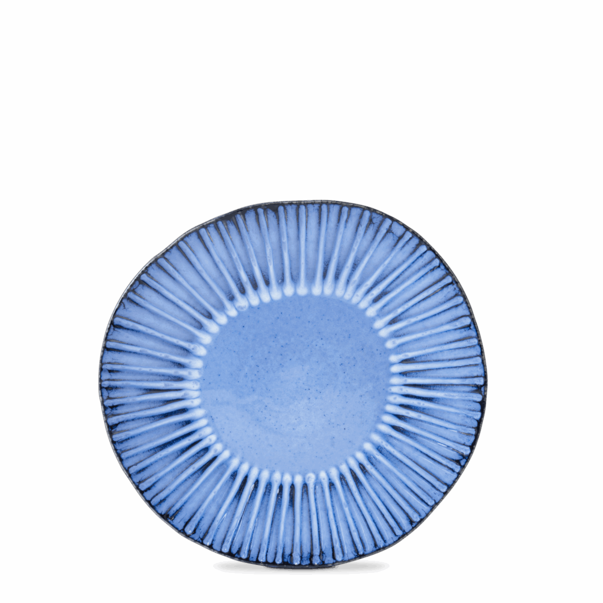 Dinner Plate - Image 4