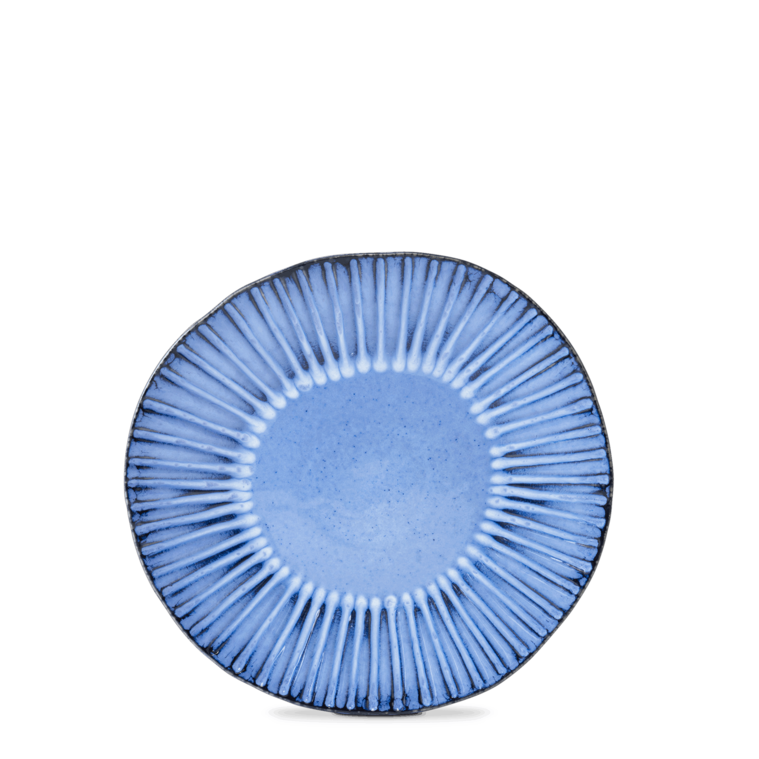 Vieria_Dinner_Blue_TOPO Dinner Plate - Image 1