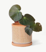 Squared Pot - Image 6