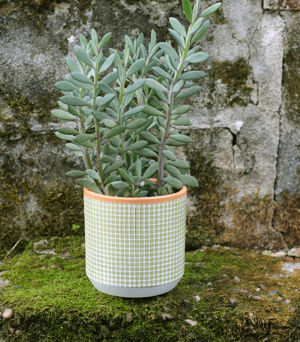 Squared Pot - Image 11