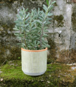 Squared Pot - Image 11