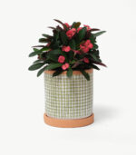 Squared Pot - Image 14