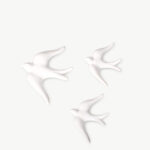 Swallows Glossy - Image 8