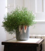 Trickled Pot - Image 14