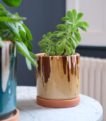 Trickled Pot - Image 19